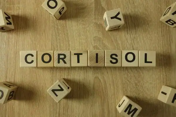 The Hidden Connection: How Stress Shapes Your Fitness and Body Composition 2 Image saying "Cortisol" and how stress Sevenoaks impacts your wellbeing and bodies shape